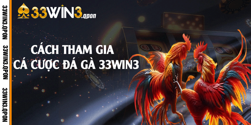 Cách tham gia cá cược đá gà 33win3